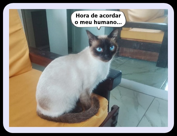 poema sobre solidão e reflexão